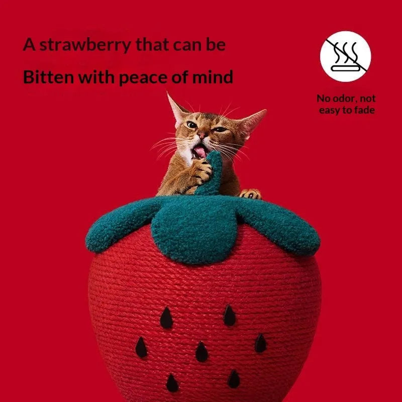 Vertical Strawberry Cat Scratch Ball - Durable Claw Relief Toy