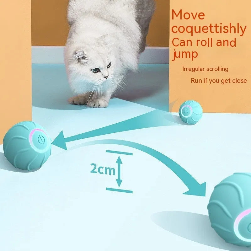Automated Rolling Ball Interactive Cat Toy Keeps Pets Active