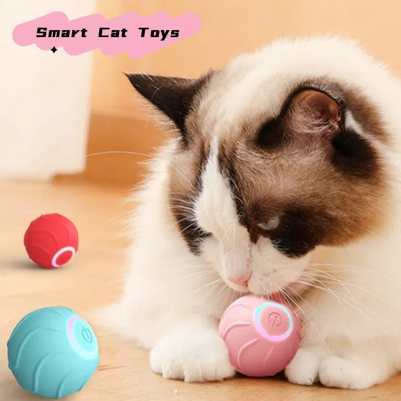 Automated Rolling Ball Interactive Cat Toy Keeps Pets Active